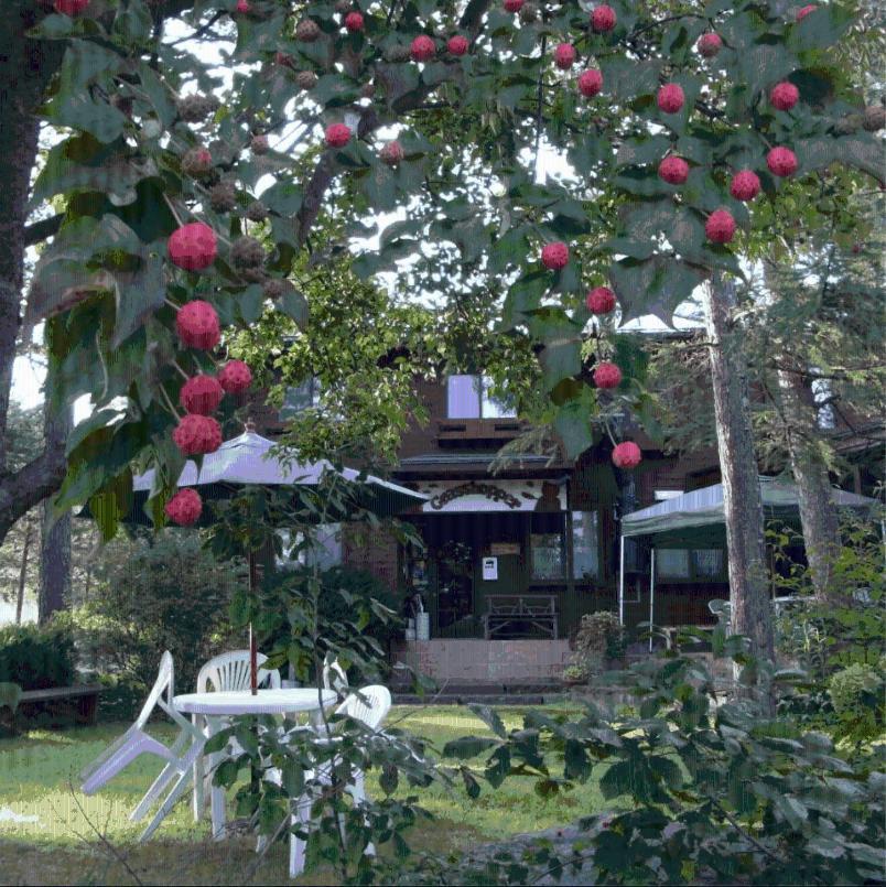 Grass Hopper Hotel Karuizawa Ngoại thất bức ảnh
